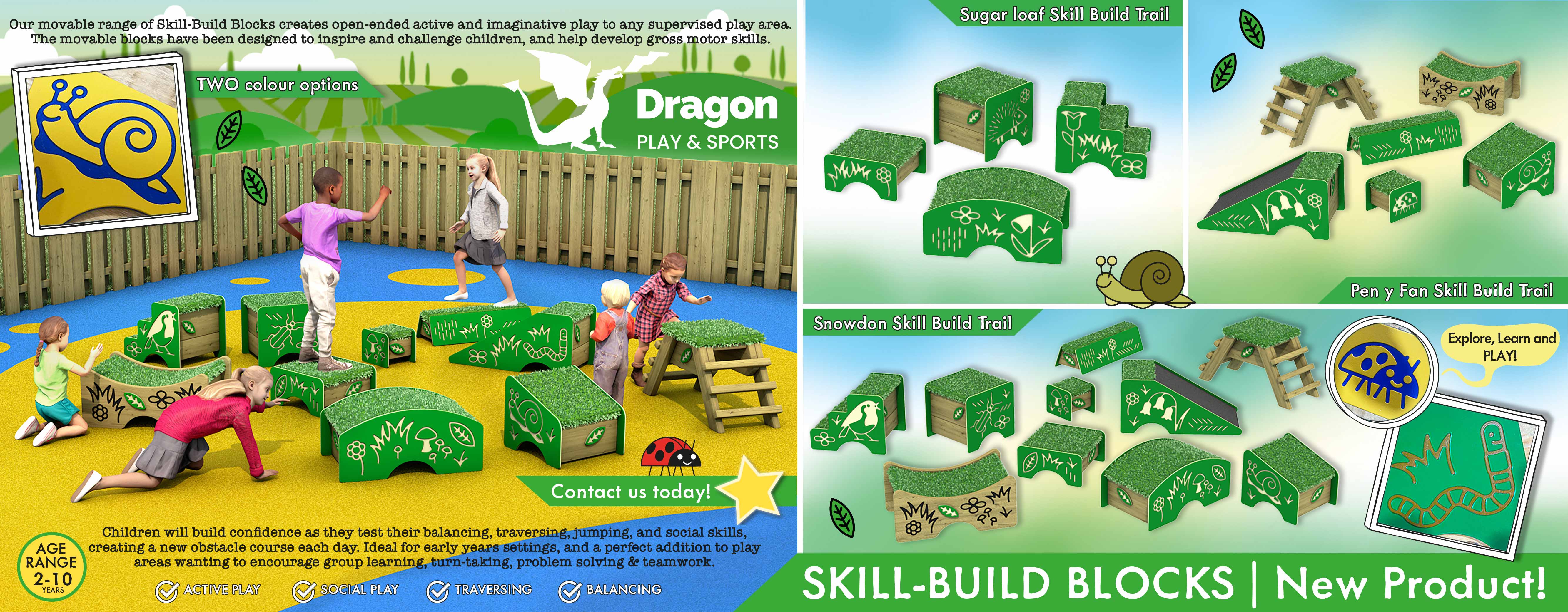Dragon Skill build blocks Flyer HR
